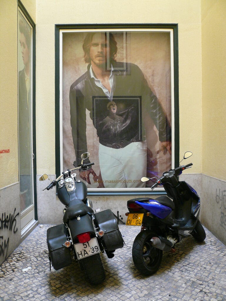 Le regard à l'affut